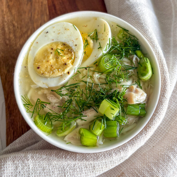 Russian chicken noodle soup with boiled egg, dill and spring onions