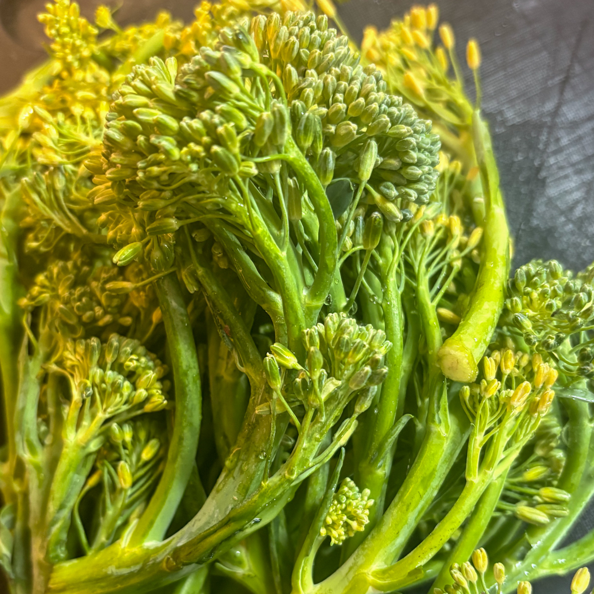 Fresh broccolini stems with tight buds ready for charring in the pan