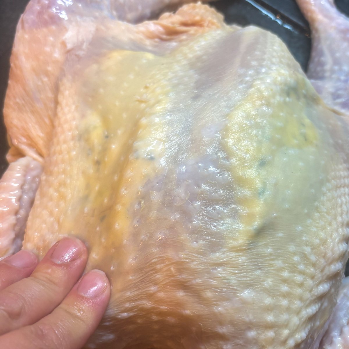 Close-up of a hand pressing on the breast of a raw spatchcocked chicken, spreading pale herb butter visible underneath the loosened skin to distribute it evenly across the meat.